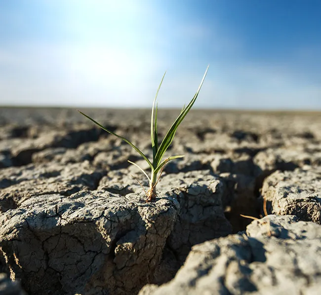 营造多元、平等和包容的环境